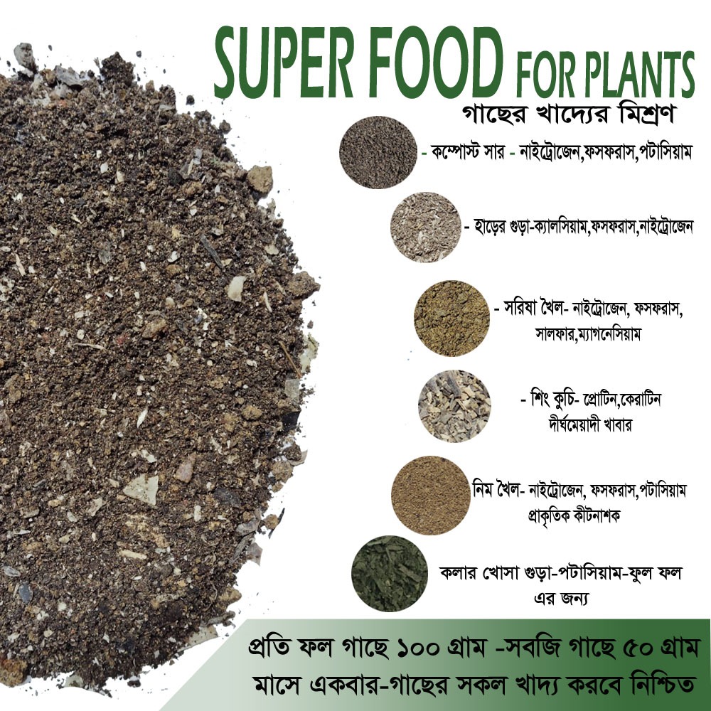 Plant Superfood - 2 kg plant special food mix
