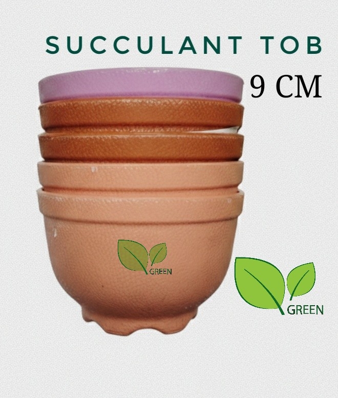 Succulent tob 9cm 05 pcs