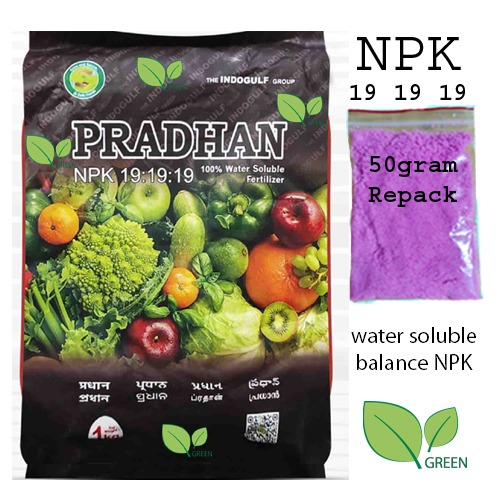 NPK 19 19 19 REPACK 50 gm indian