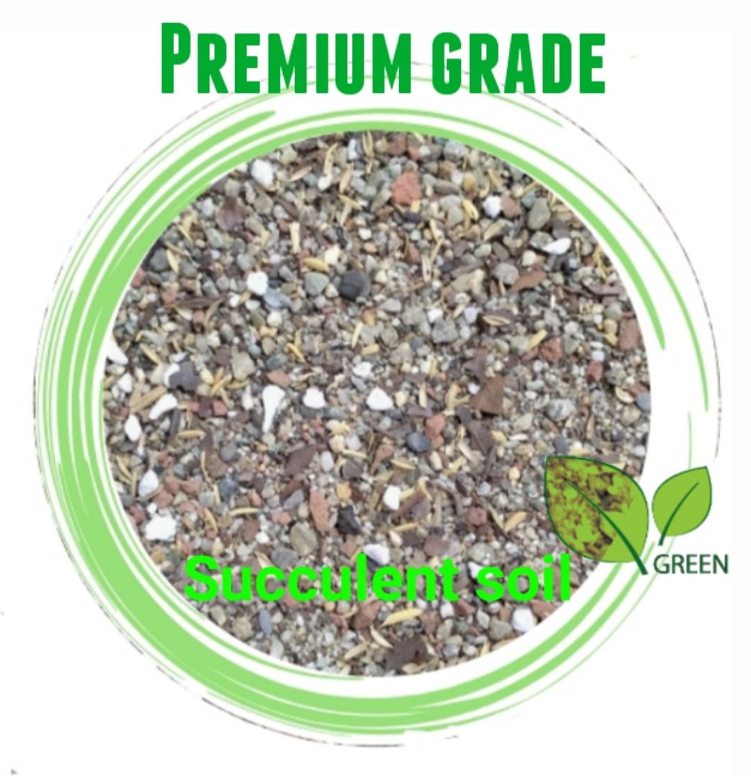 Succulent soil mix 01 kg Premium Quality Dust Free