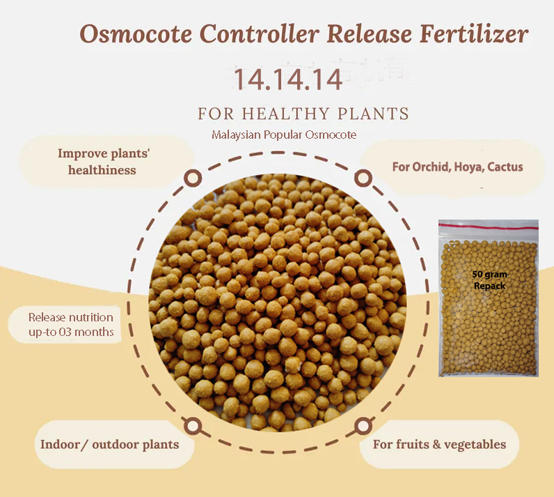 Osmocote 14 14 14 fertilizer repack 50 gm