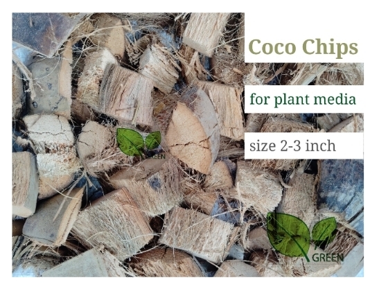 Coco chips for plants 01 kg dry ready to use